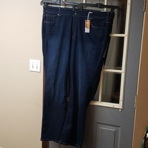 Lane Bryant Stretch Bootcut Jeans